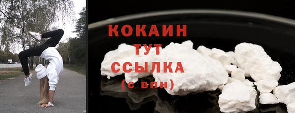 индика Козельск