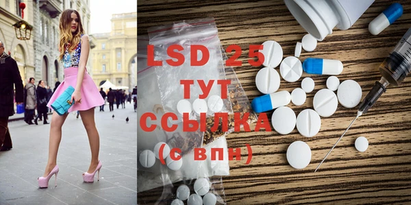индика Козельск