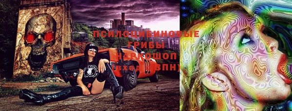 индика Козельск