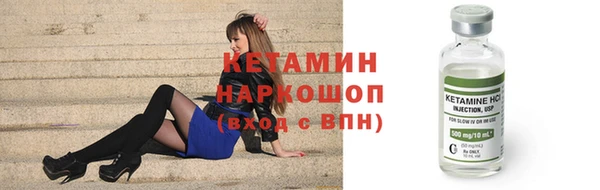 индика Козельск