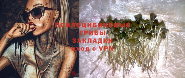 ПСИЛОЦИБИНОВЫЕ ГРИБЫ Кодинск