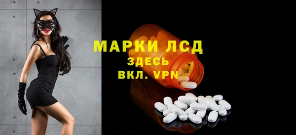 ПСИЛОЦИБИНОВЫЕ ГРИБЫ Кодинск