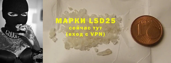 индика Козельск