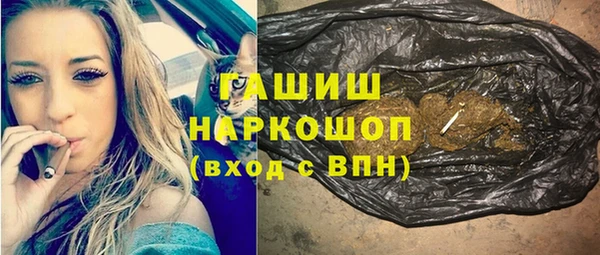 индика Козельск