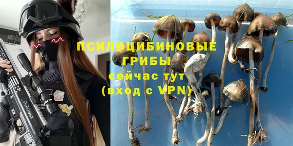 индика Козельск