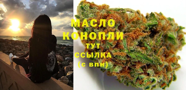 индика Козельск