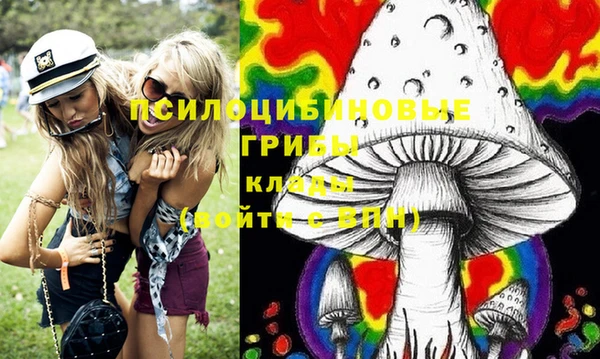 индика Козельск