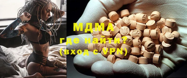 индика Козельск