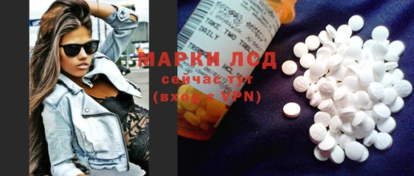 индика Козельск