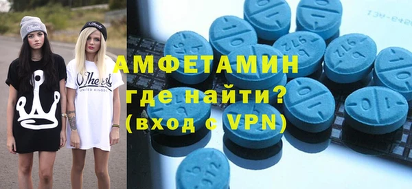 индика Козельск