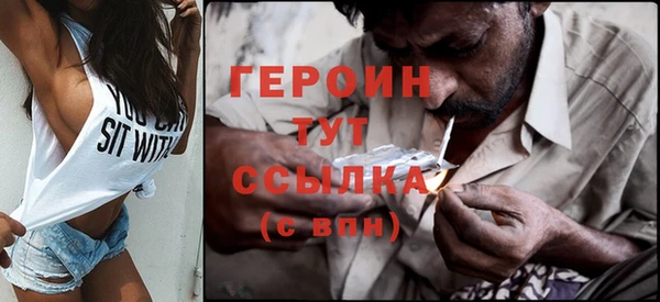 индика Козельск