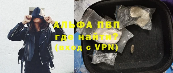 индика Козельск
